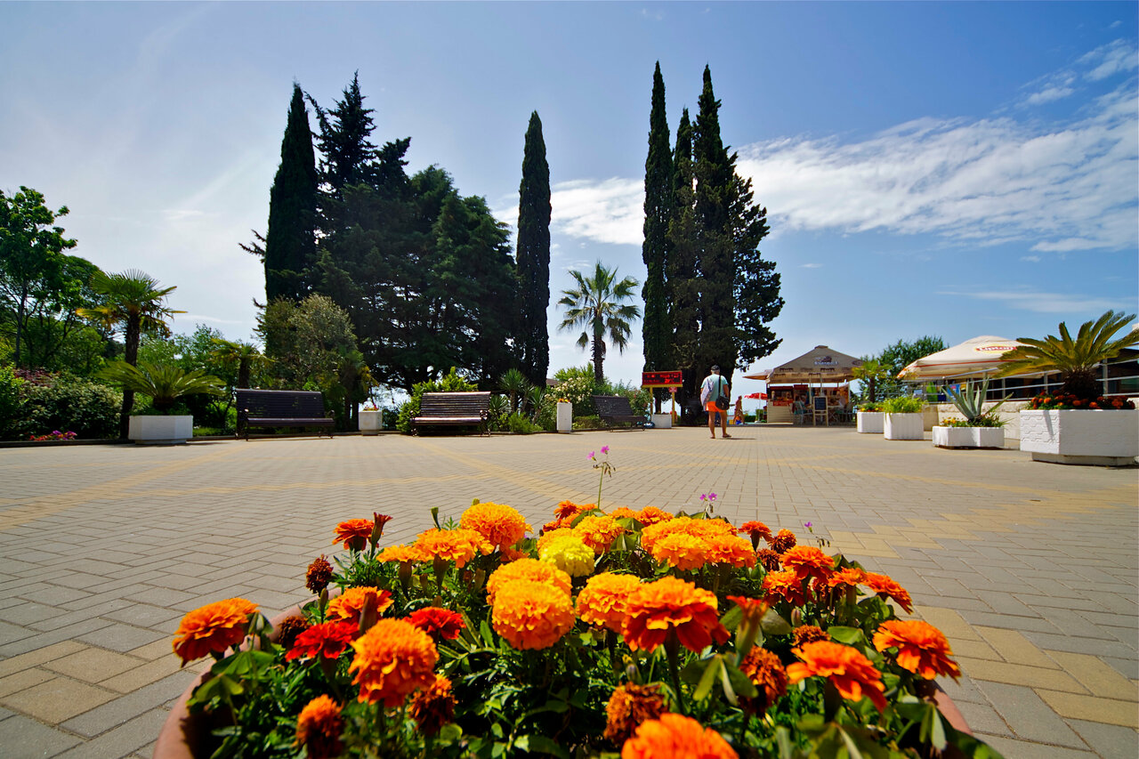 Гостиница Эдем Сочи-58