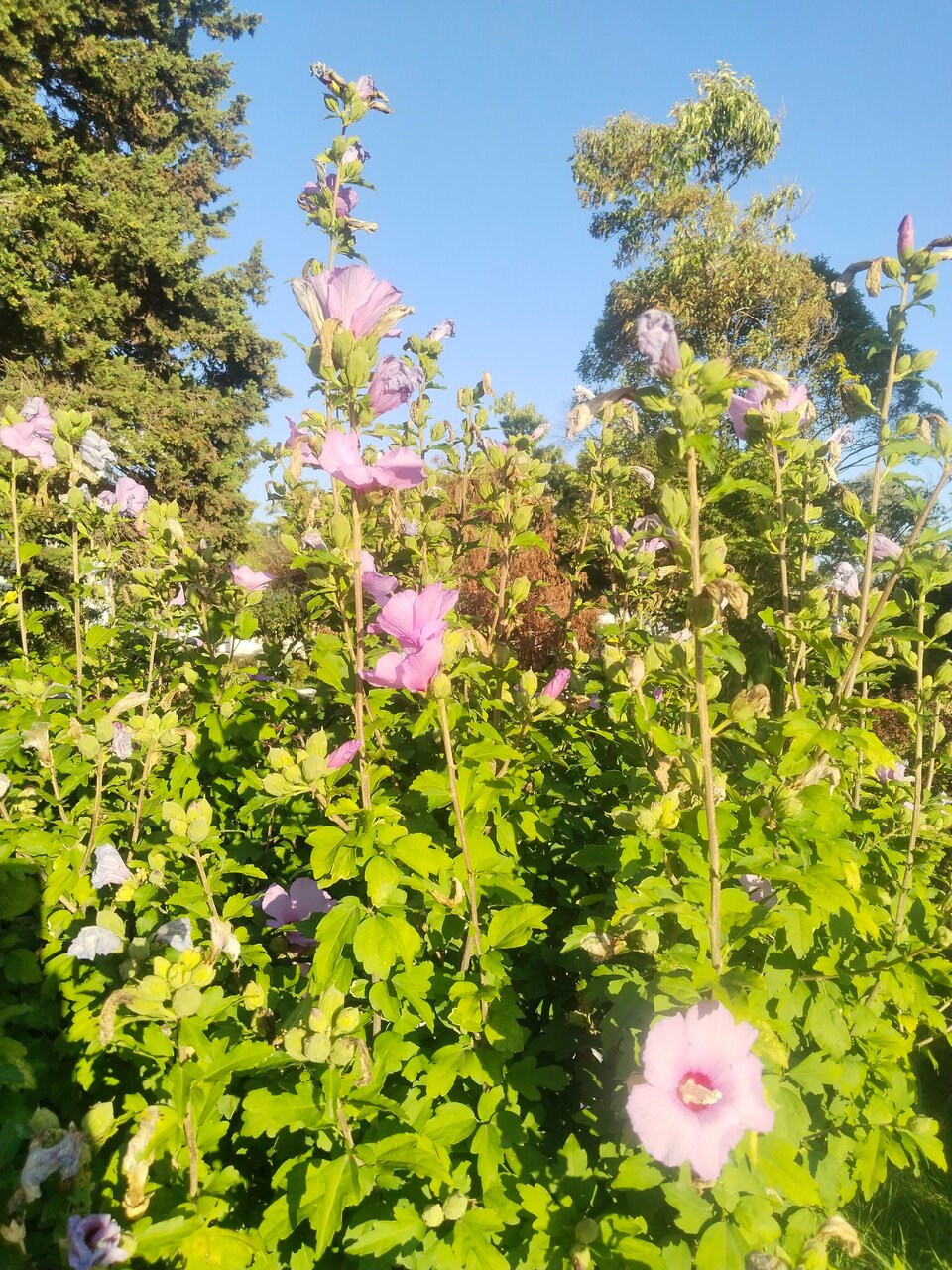 Гостиница Эдем Сочи-162