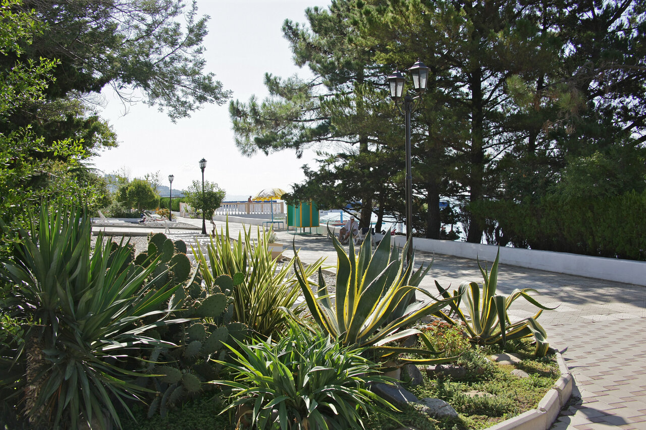 Гостиница Эдем Сочи-93