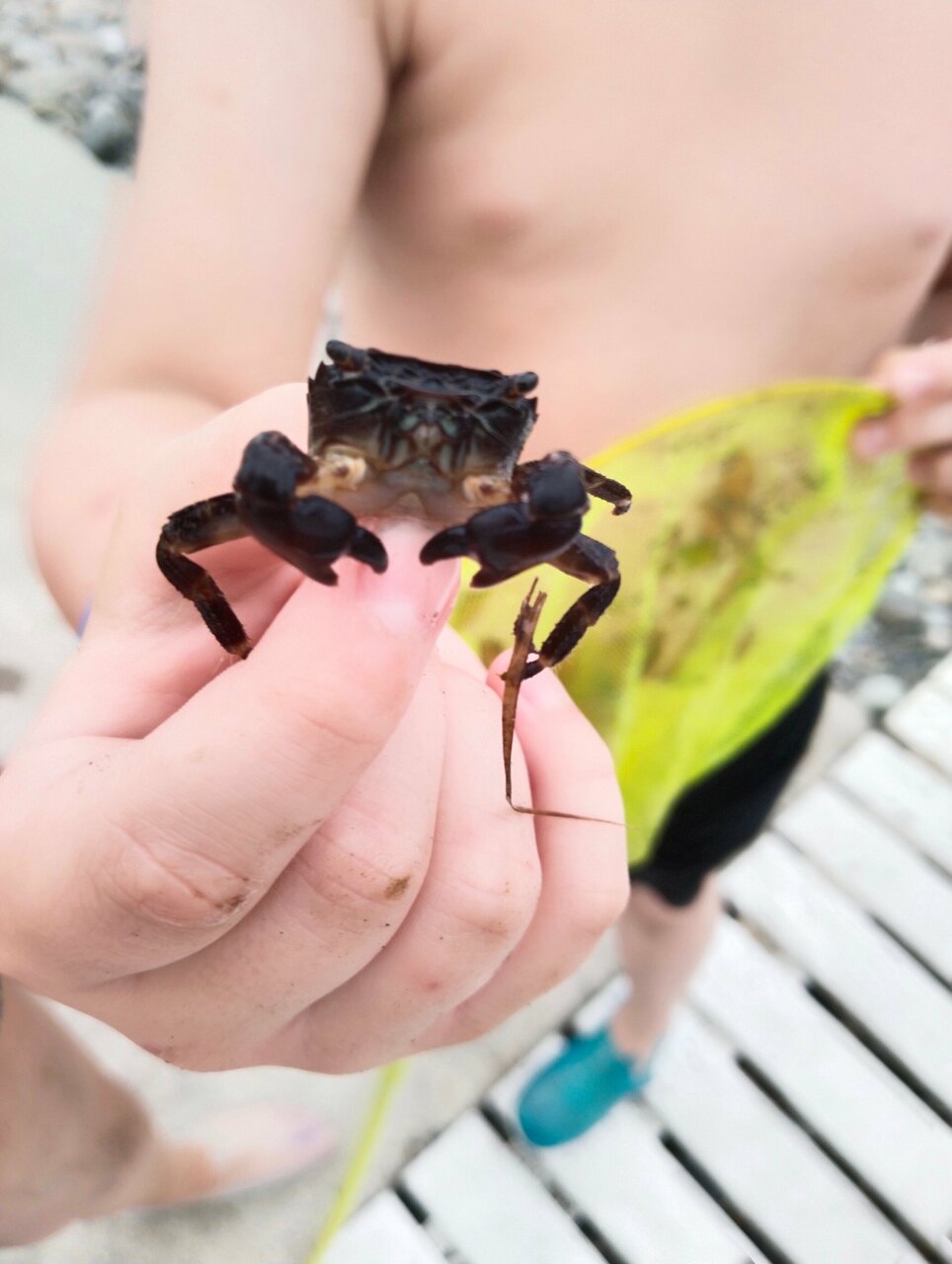 Гостиница Эдем Сочи-239