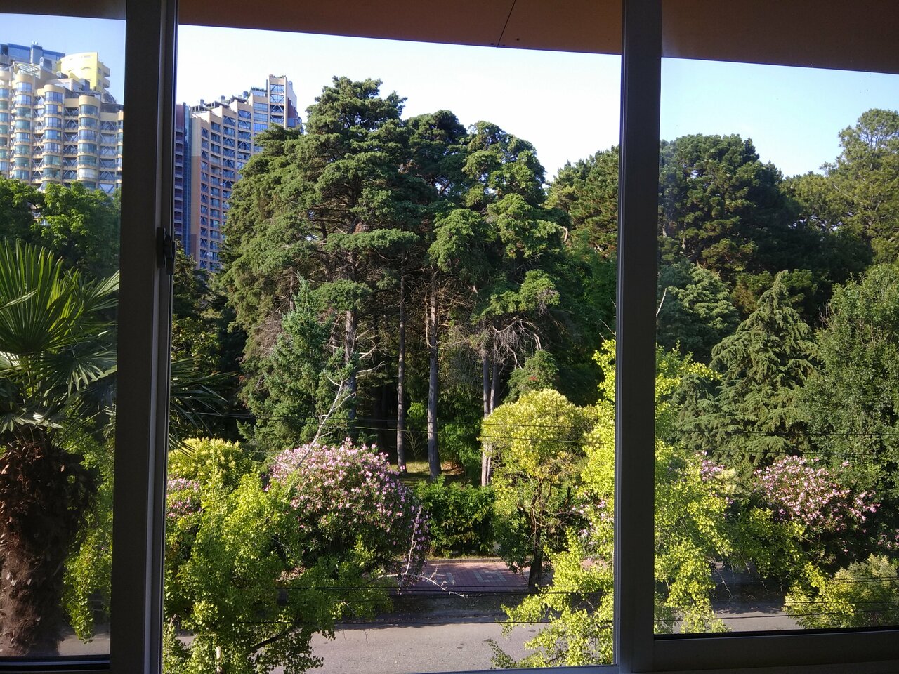 Гостиница Эдем Сочи-227