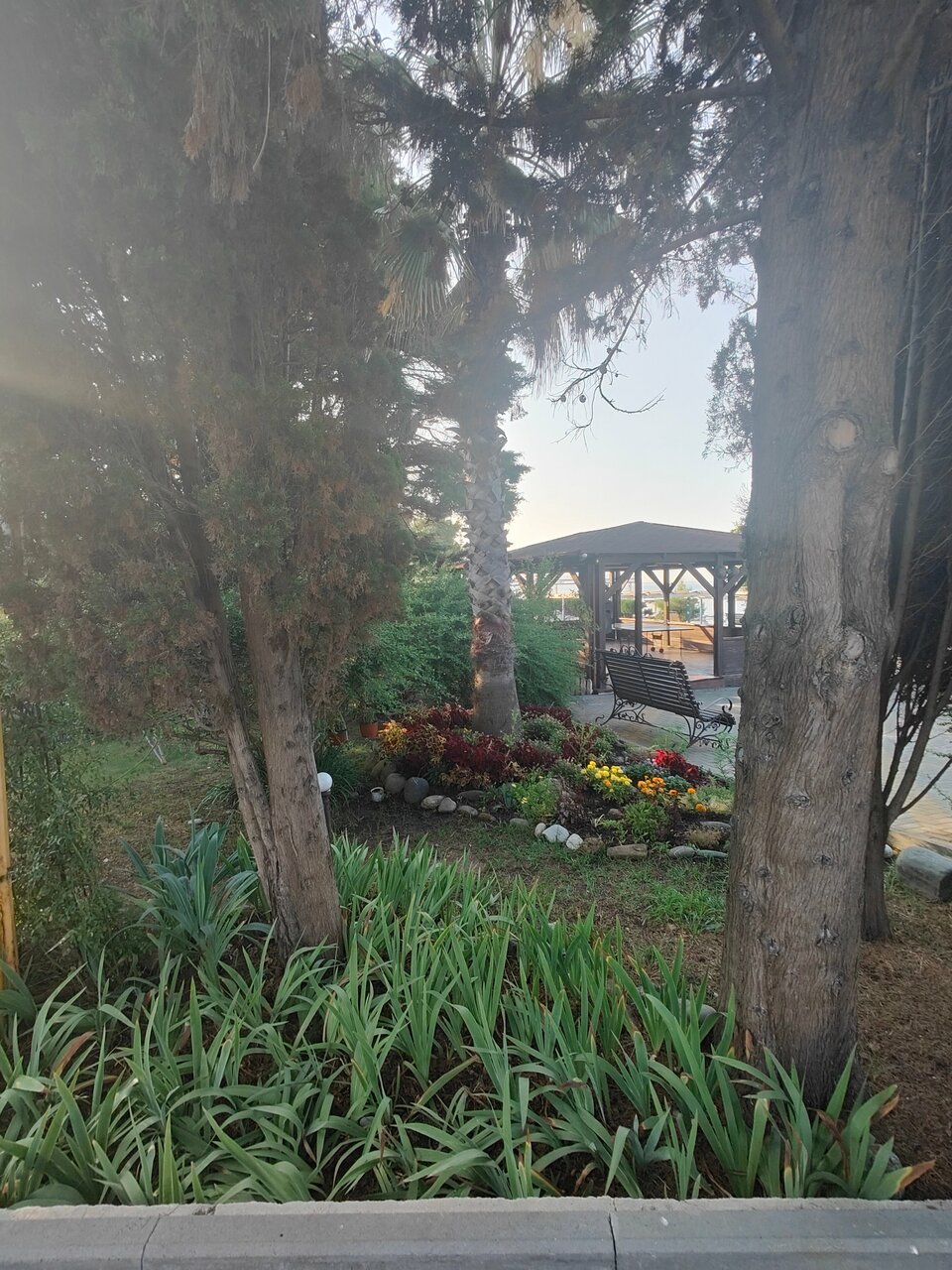 Гостиница Эдем Сочи-218