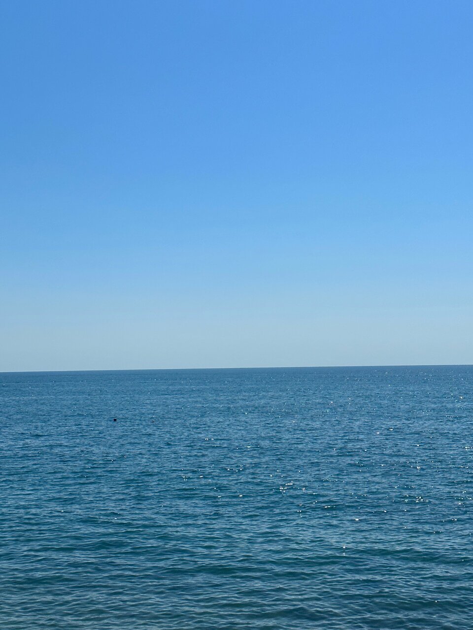 Гостиница Эдем Сочи-245