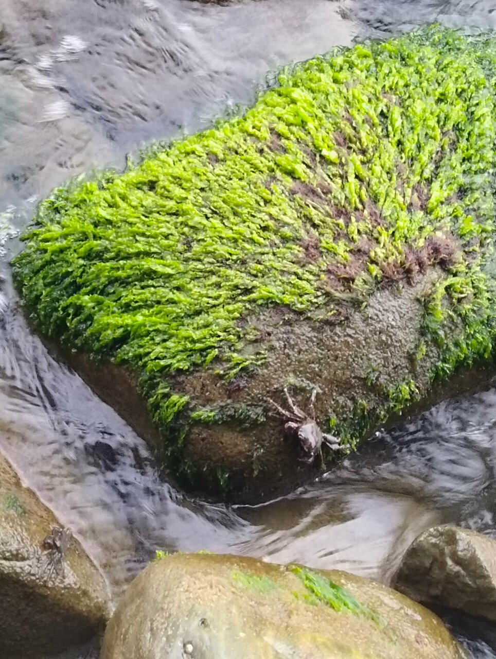 Гостиница Эдем Сочи-249