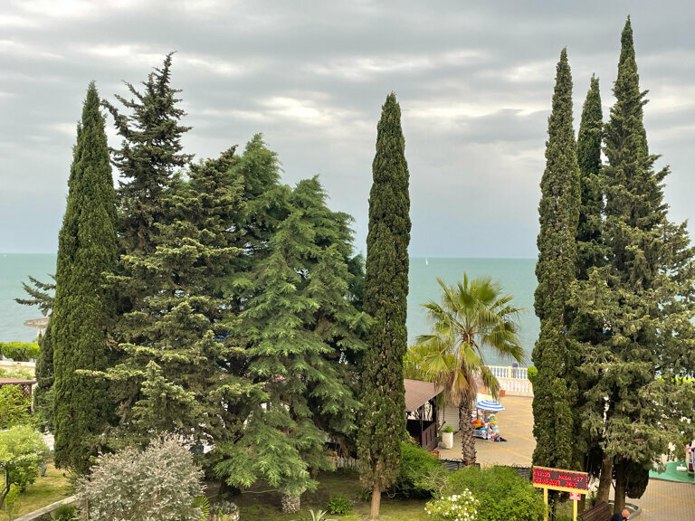 Гостиница Эдем Сочи