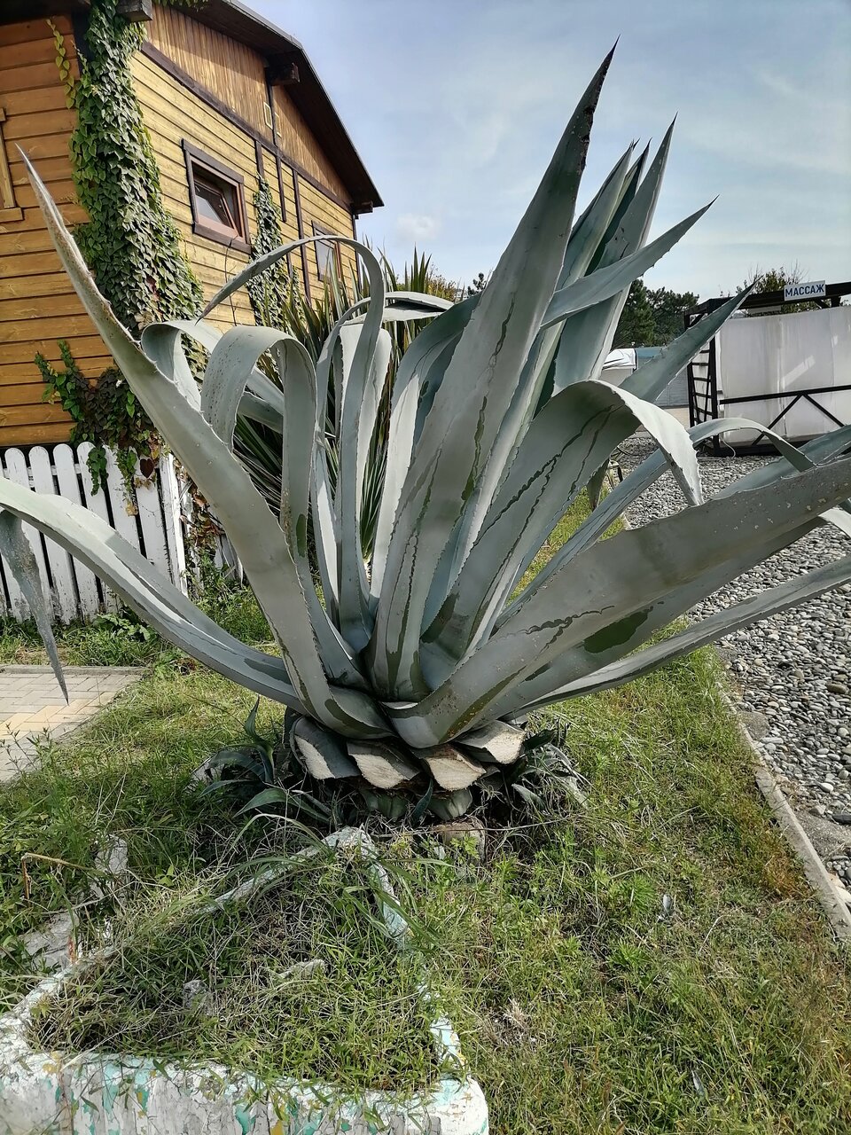 Гостиница Эдем Сочи-152