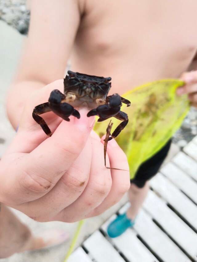 Гостиница Эдем Сочи-238