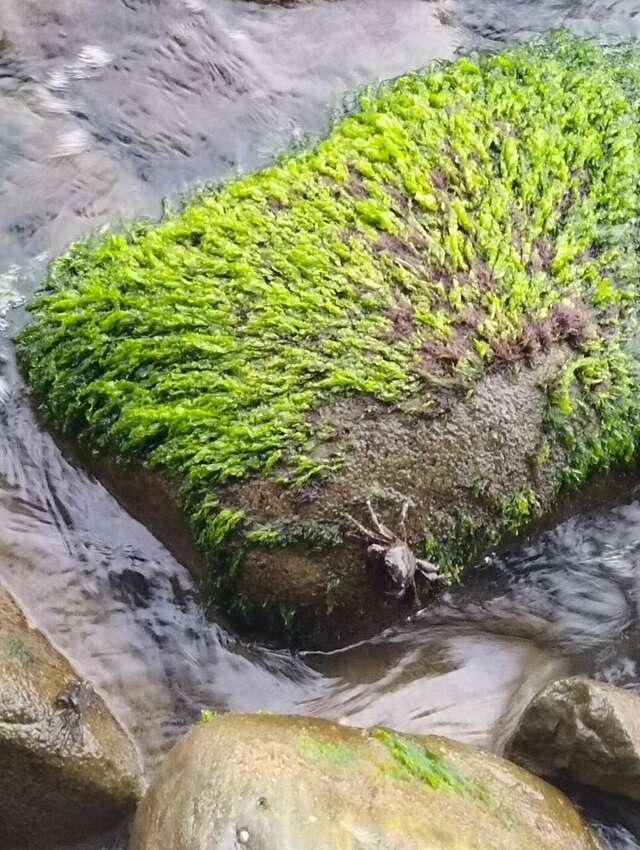 Гостиница Эдем Сочи-248