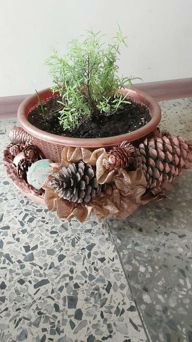 Гостиница Эдем Сочи-247