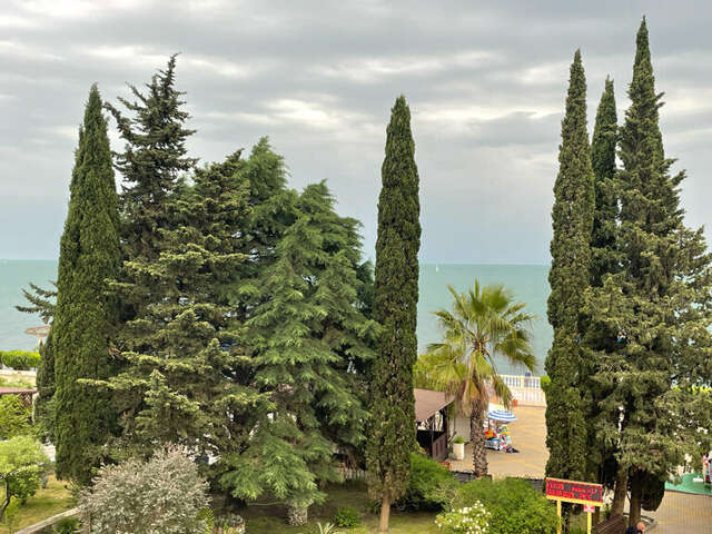 Гостиница Эдем Сочи-245